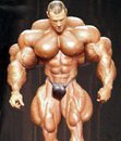 Gregory Walp