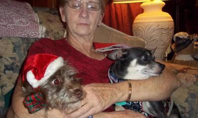 Cynthia Williams