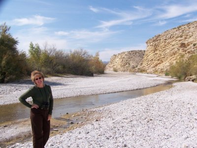 Sheila Sellers