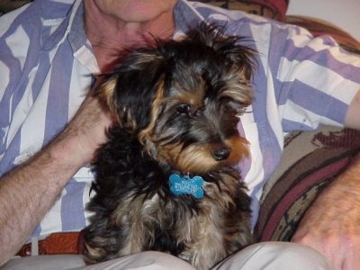 Phoebe Farley