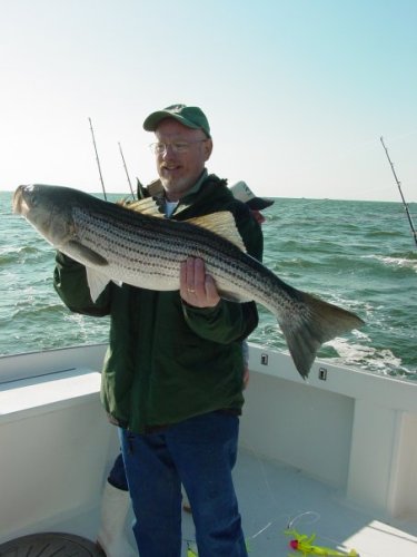 Bill Wiser