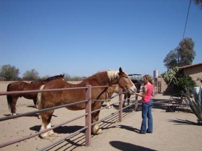 Carole Gelbaugh