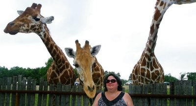 Shelli Snide