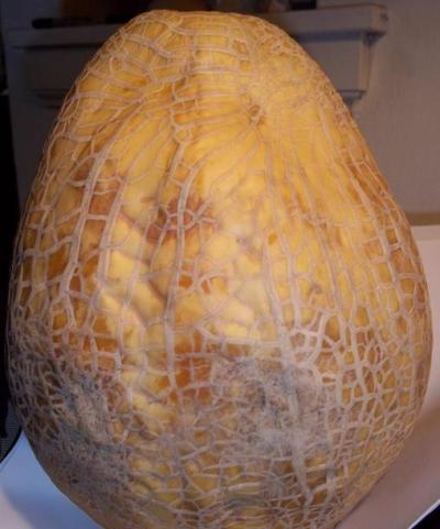 Acquanetta Sproule