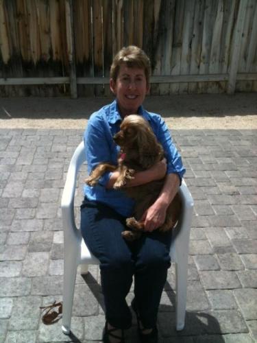 Laurie Hillin