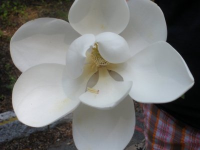Kathy Unger