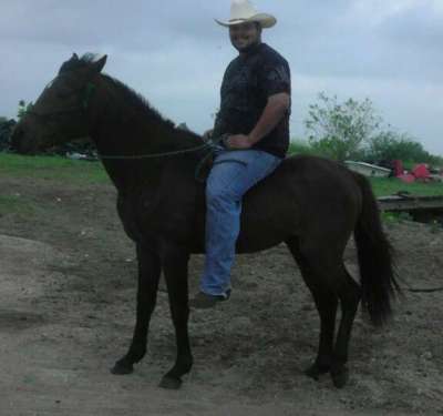 Rogelio Puente