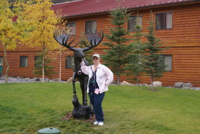 Carol Mcmahon