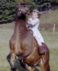 Kathy Hay