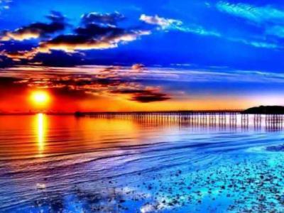 Debra Bever