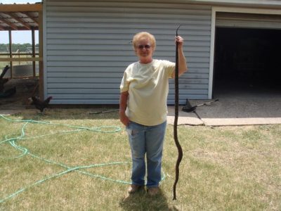 Janice Wynn