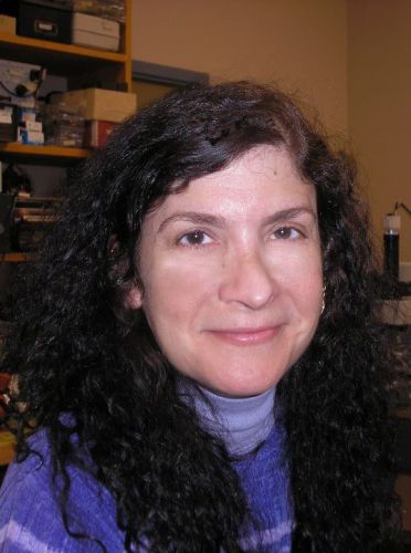 Lynn Moraitis