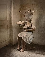 Heather Whitten
