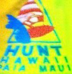 Ronald Hunt