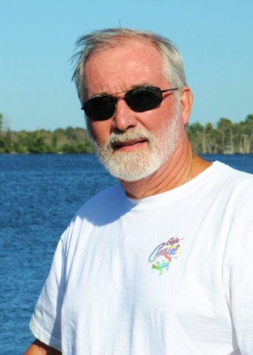 David Springer