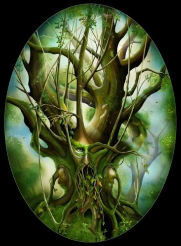 Heather Prue