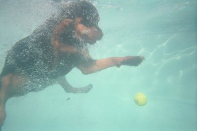 Jeffrey Burbatt