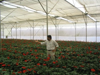 Chetan Dedhia