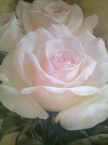 Donna Longchamps