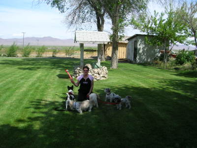 Heidi Elquist