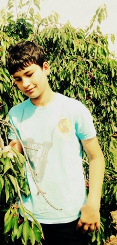 Onur Zivali
