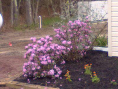 Brenda Hager