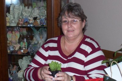 Donna Lemelin