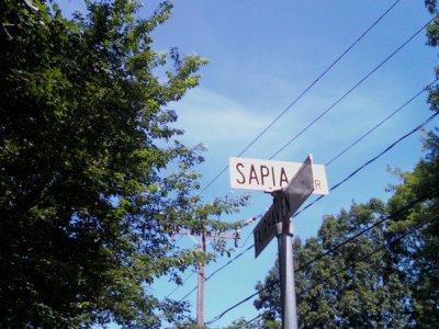 Jeffrey Sapia