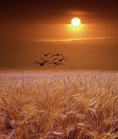 Stephen Wright