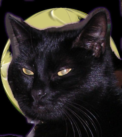 Pichu Moon