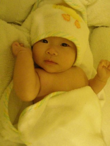 Shelly Chin
