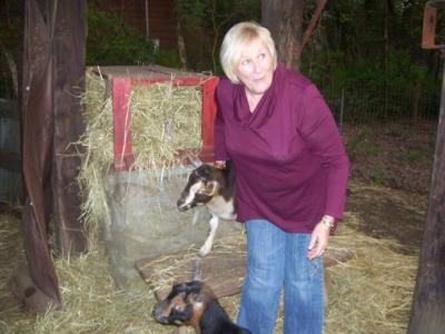Carol Anders