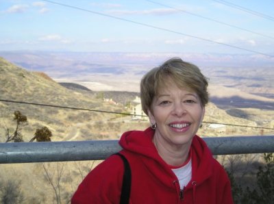 Vicki Satovitz