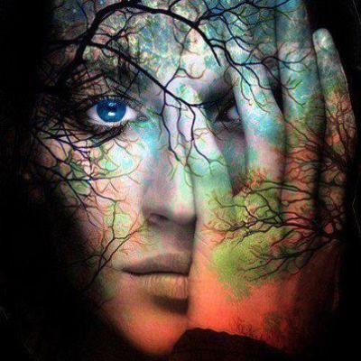 Bonnie Collins