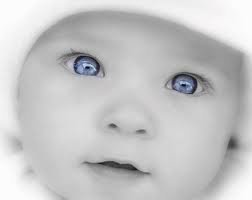 Syed Makki