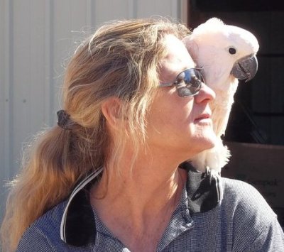 Tammie Wheeler