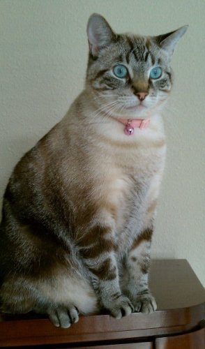Aniuska Spies