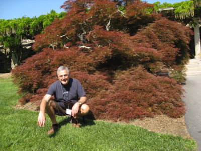 Dino Dauria