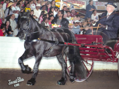 John Rutledge