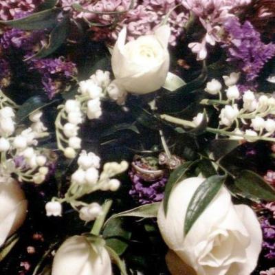 Cathy Luders