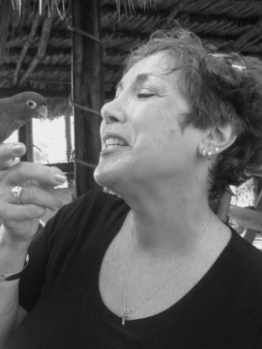 Ann Zasa