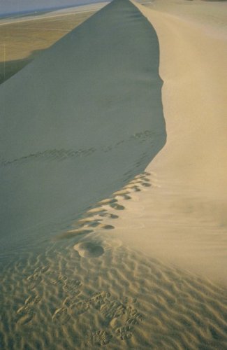 Kecia Moeller
