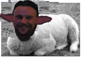 Jason Herrmann