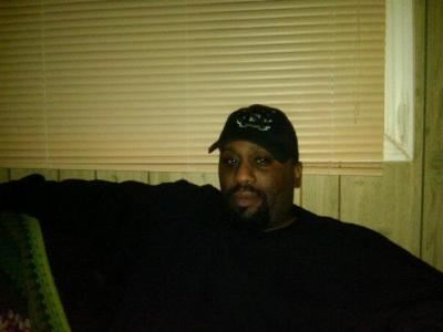 Sylvester Seals