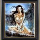 Donna Werge