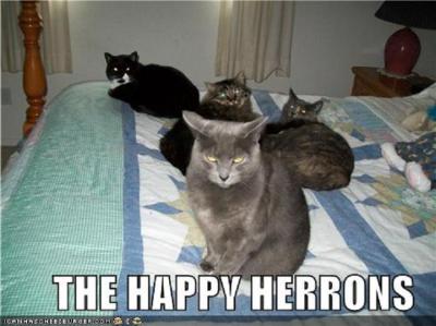 Kay Herron