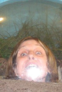 Linda Bentley