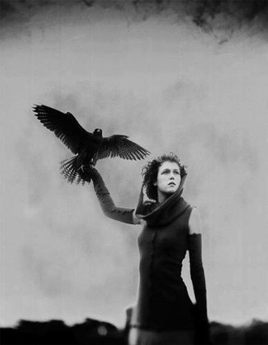 Lynda Purdy