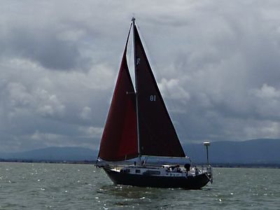 Carl Babb