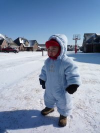 Robert Su